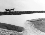Gojko Sikinić: Mart 1960, 1960.