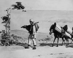 Ludwig Kuba: Konji sa tovarima, oko 1896.